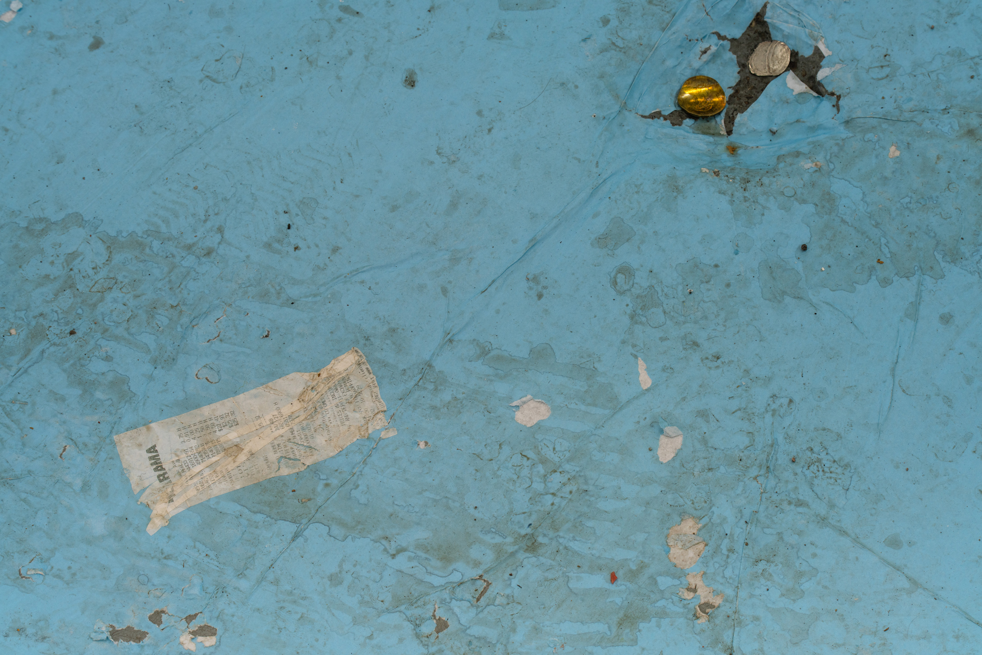 Microcosm, 2024