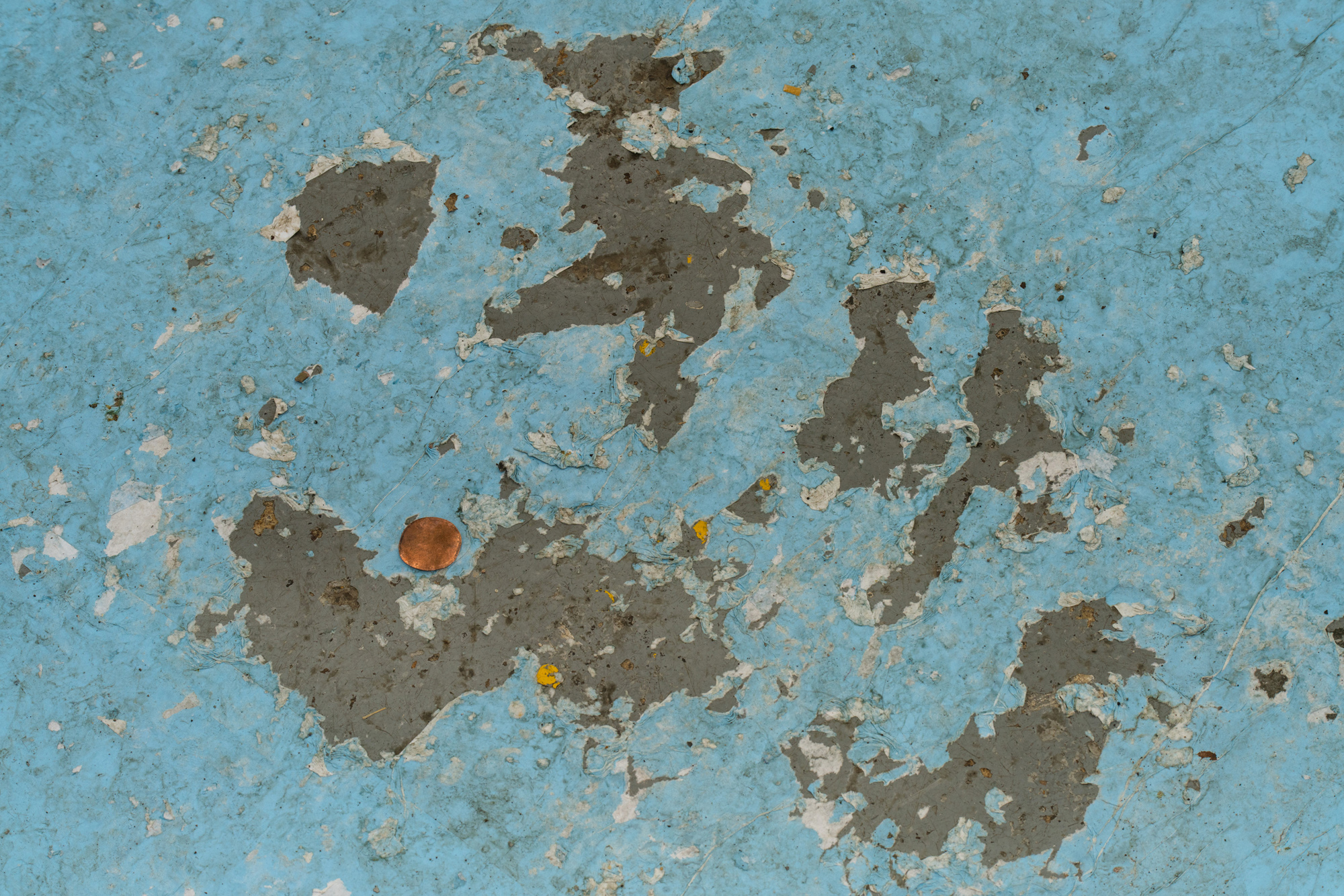 Microcosm, 2024
